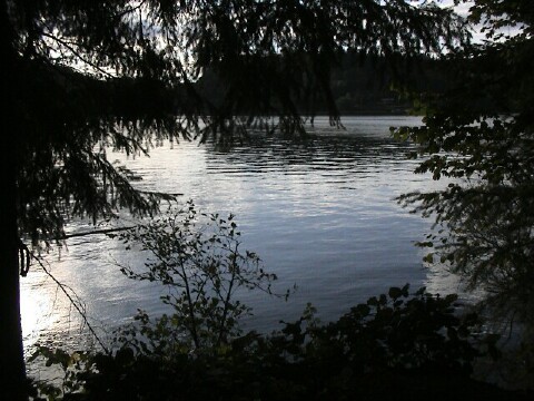 Mayfield: Island