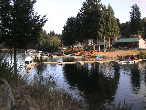 Mayfield: Island