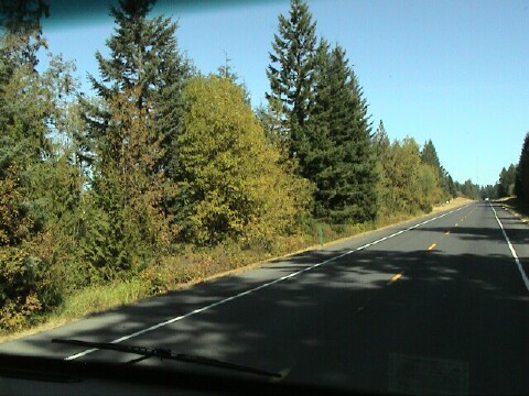 To Mossyrock